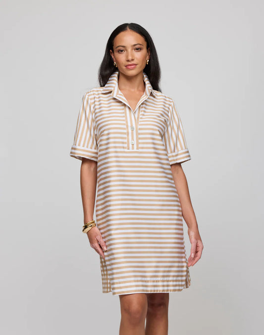 Aileen Stripe Gingham Mini Dress