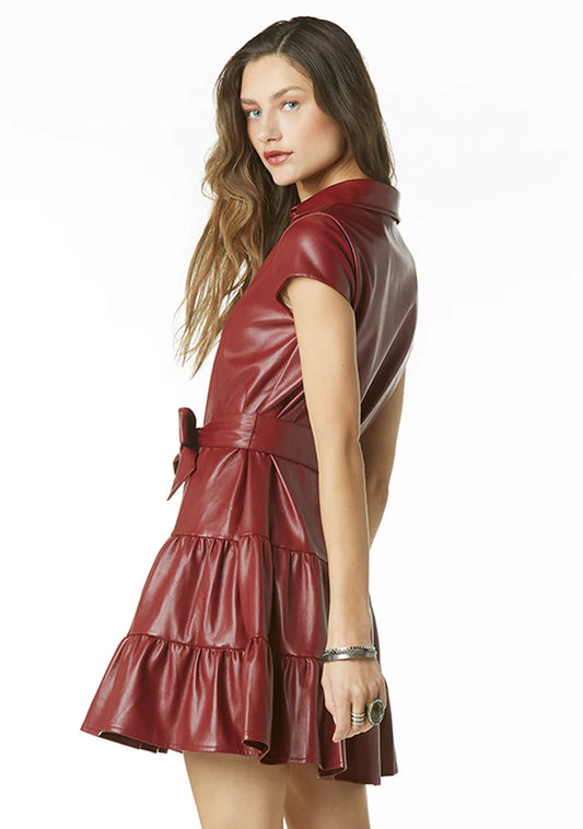 Viola Faux Leather Mini Dress