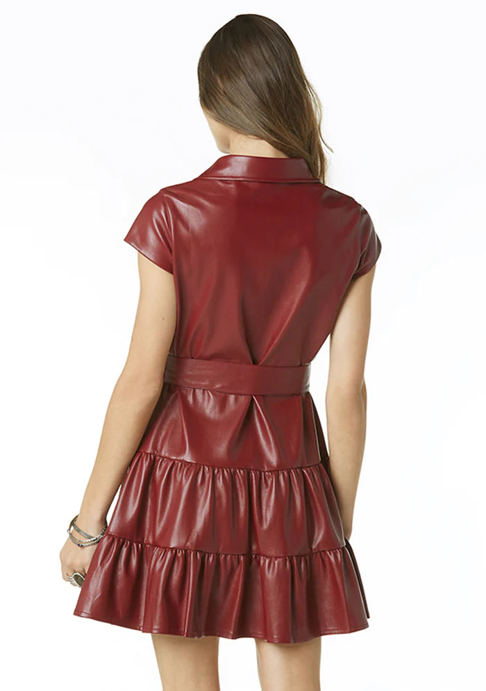 Viola Faux Leather Mini Dress